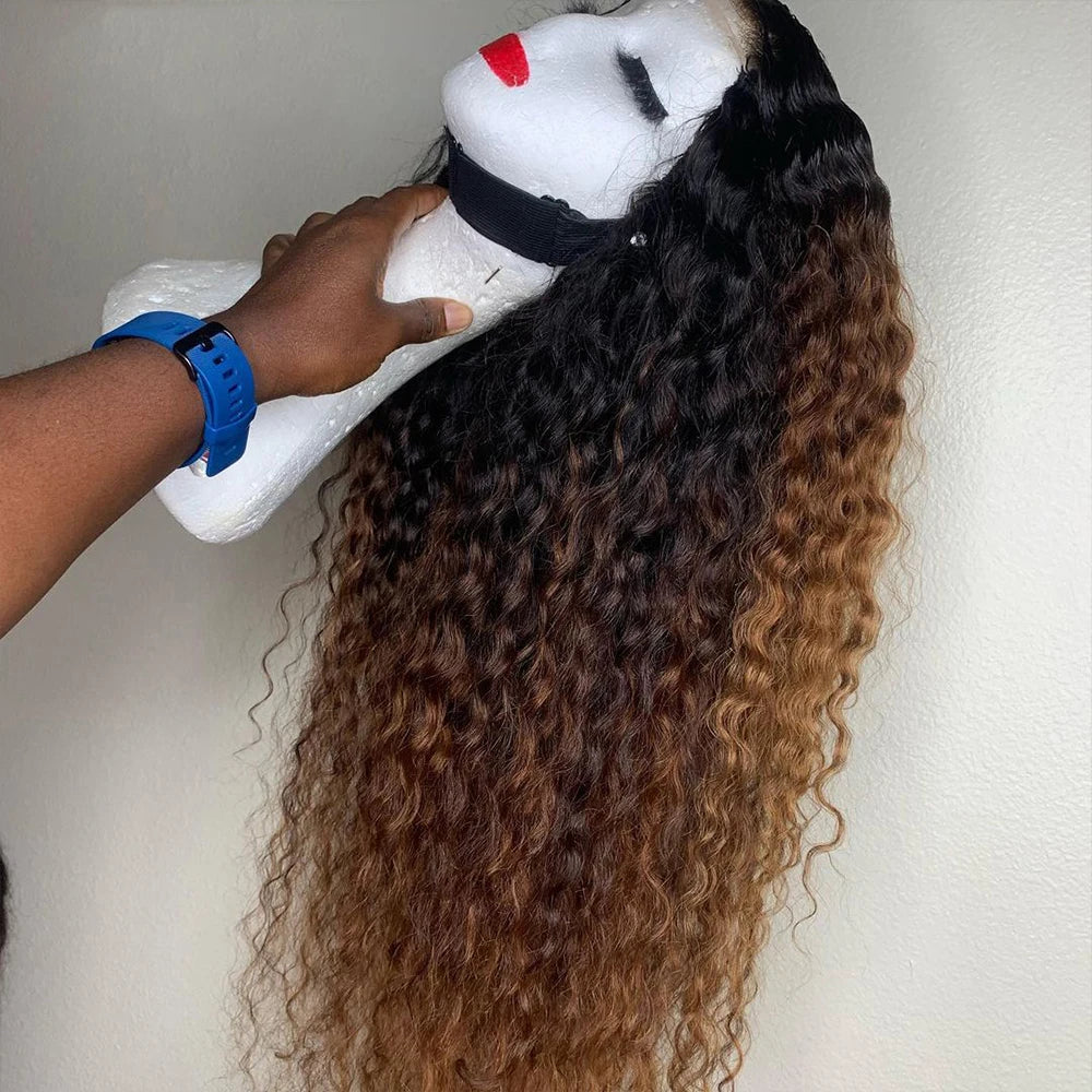 Long Kinky Curly Lace Front Wig