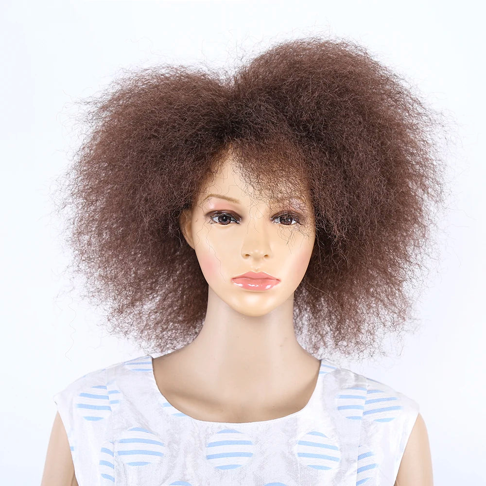 Amir Synthetic Kinky Curly Wig Short Afro Wigs Black Brown Red Color 6inch Short Wig for Women