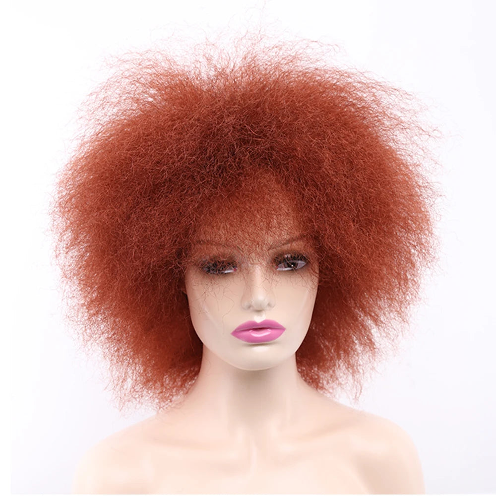 Amir Synthetic Kinky Curly Wig Short Afro Wigs Black Brown Red Color 6inch Short Wig for Women