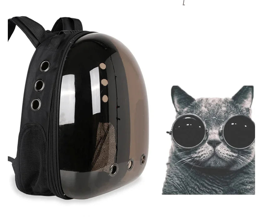 cat bags, pet backpacks, portable and transparent space capsules