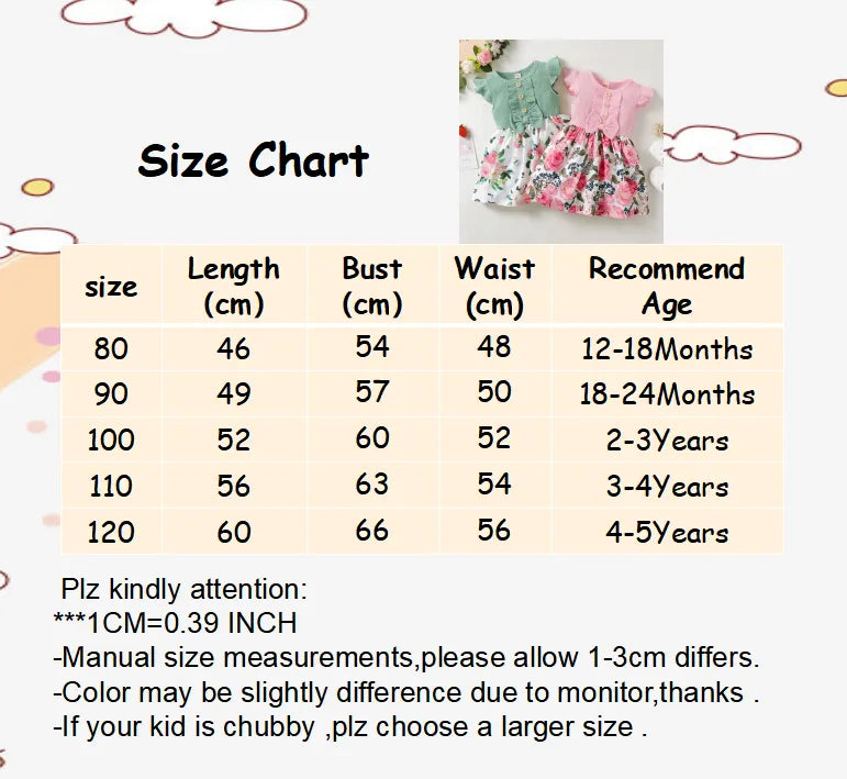Little Girl Princess Dress Clothing