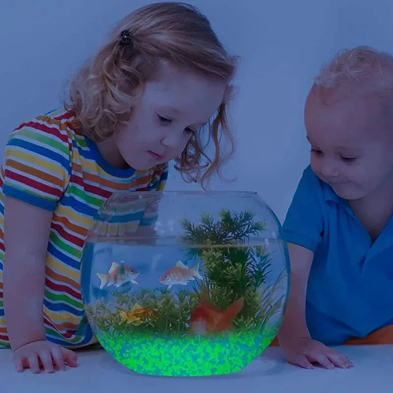 2000pcs 3-5mm Luminous Sand Glow In Dark Pebbles Stone Home Garden Yard Outdoor Path Lawn Decorations Fish Tank Aquarium Decor