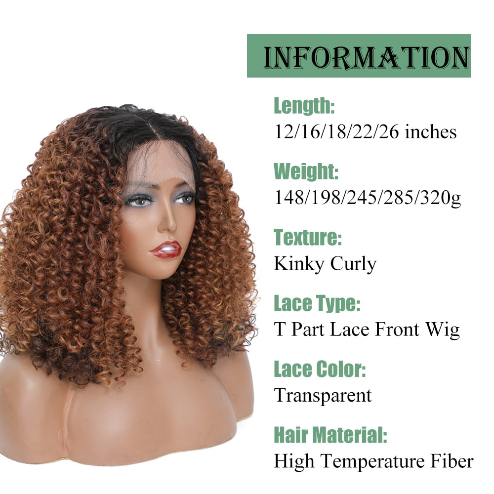 Ombre Brown Kinky Curly Lace Front Wigs