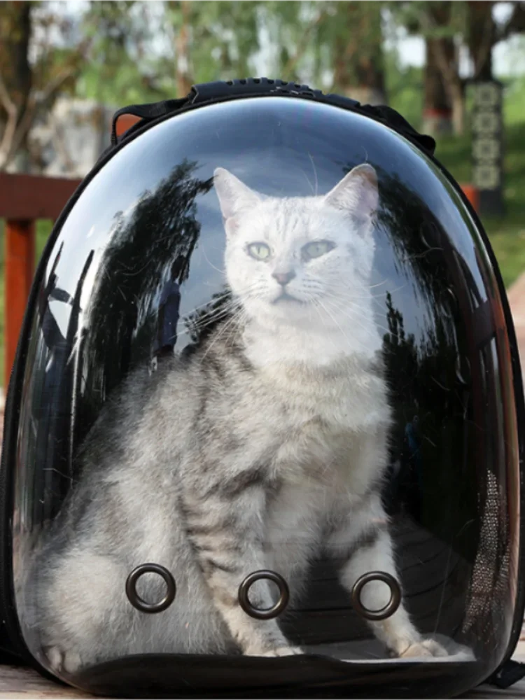 cat bags, pet backpacks, portable and transparent space capsules