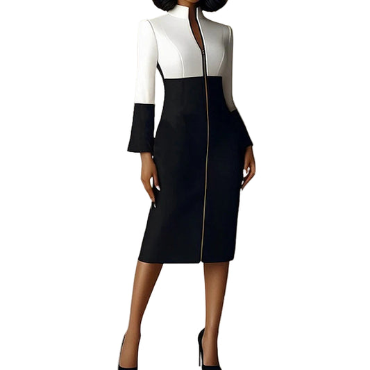 Bodycon Long Sleeves Dress with Zipper