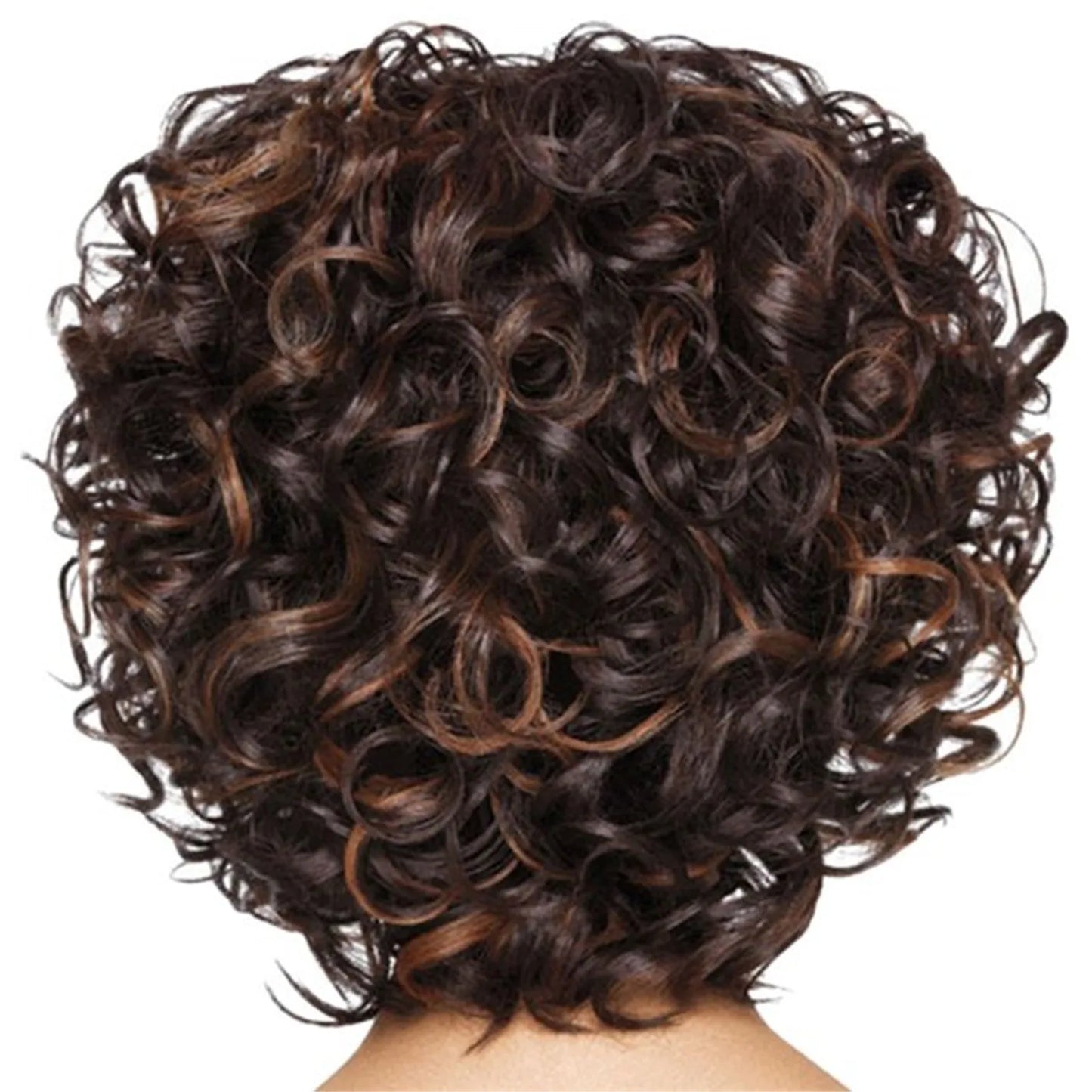 Short Curly Human Hair Wet & Wavy Lace Frontal Wig