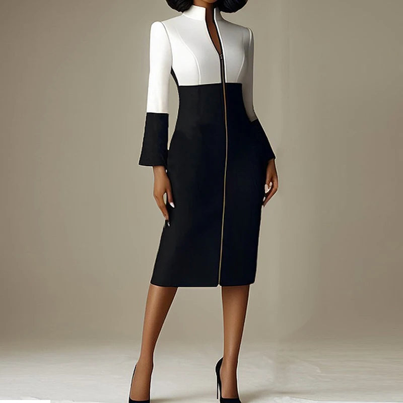 Bodycon Long Sleeves Dress with Zipper