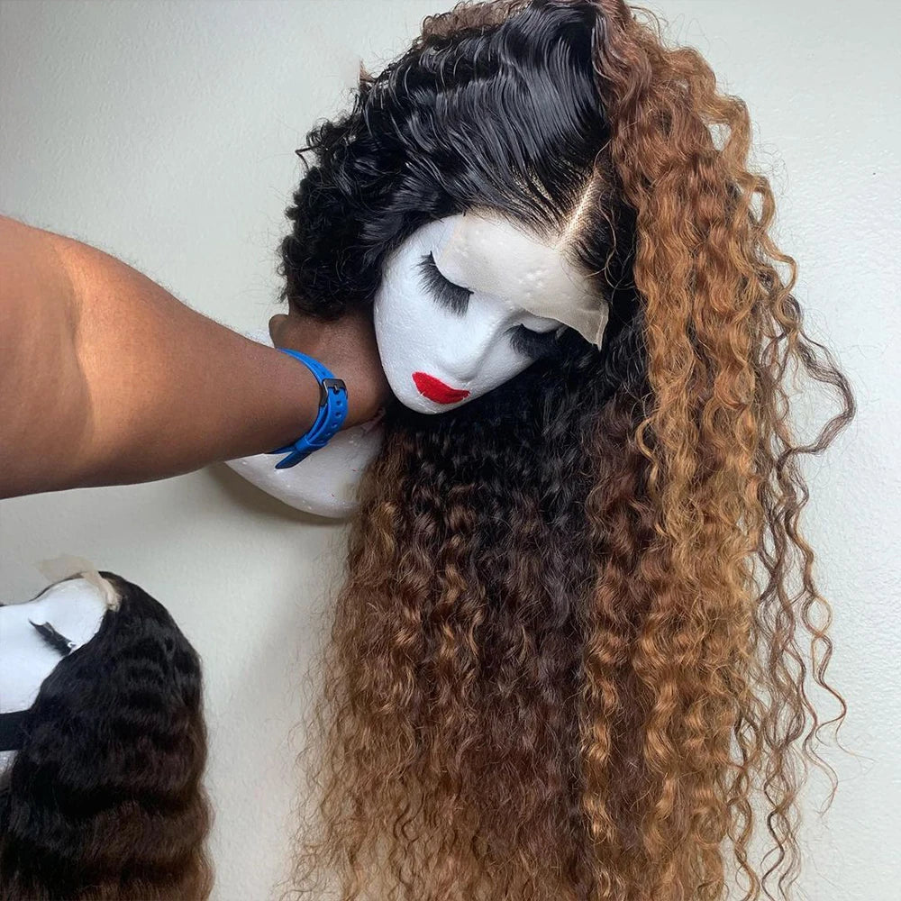 Long Kinky Curly Lace Front Wig