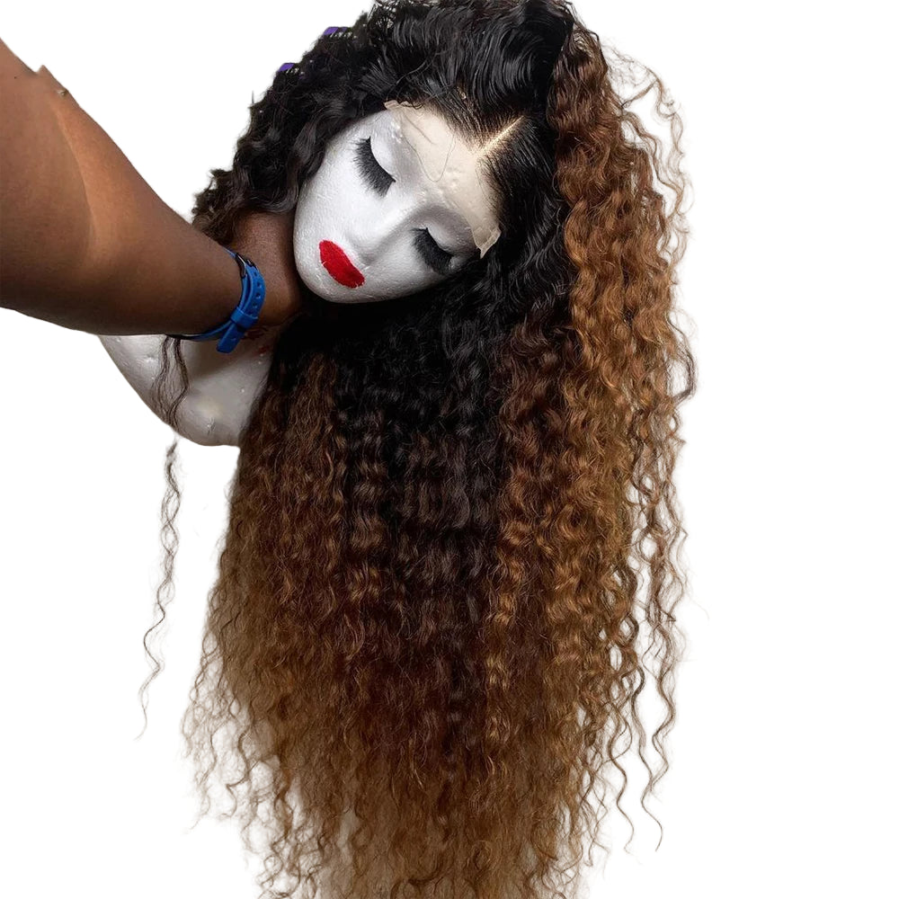 Long Kinky Curly Lace Front Wig