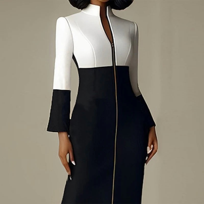 Bodycon Long Sleeves Dress with Zipper