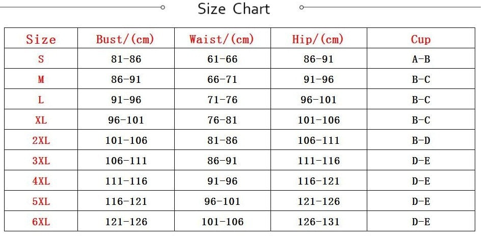 Plus Size Tassels Bikinis High Waist Women Bra Bikini Beachwear