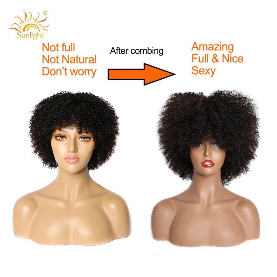 Afro Kinky Curly Wigs Full Brazilian Short Human Wig