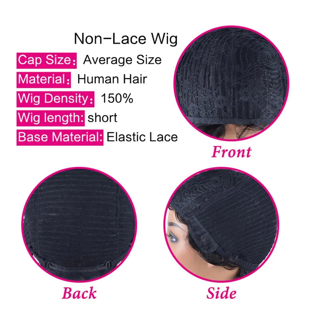 Kinky Curly Wigs Short Wigs Black Women Human Hair