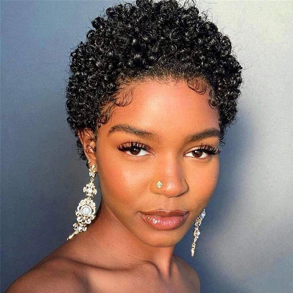 Kinky Curly Wigs Short Wigs Black Women Human Hair