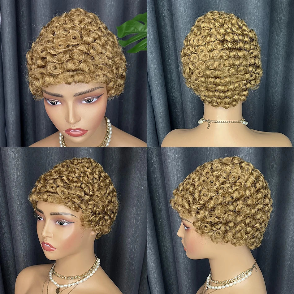 Kinky Curly Wigs Short Wigs Black Women Human Hair