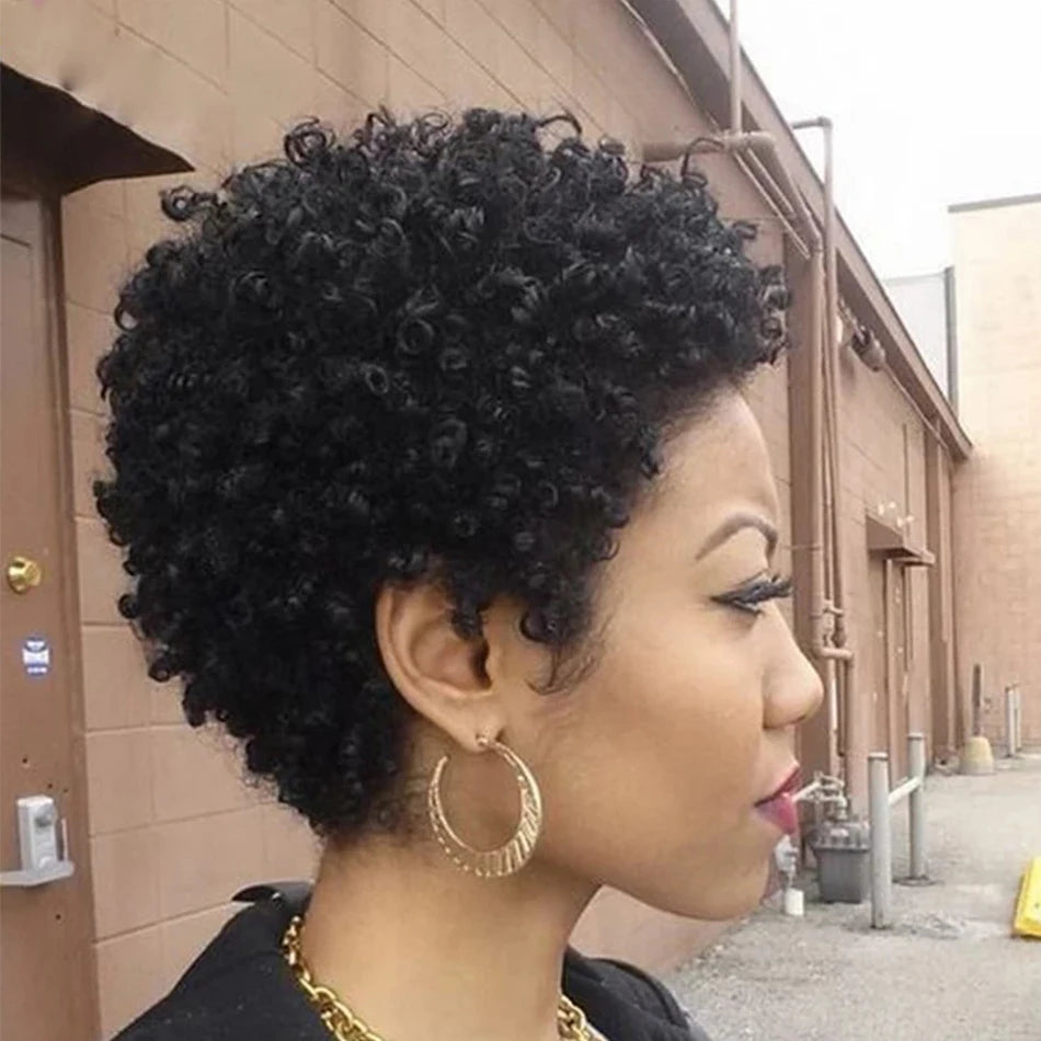 Kinky Curly Wigs Short Wigs Black Women Human Hair