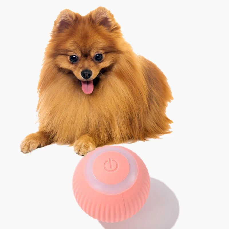 Cat Dog Toys Electronic Interactive Cat Interactive Ball Smart Cat Toy Indoor Automatic Rolling Magic Ball Cat Game Accessories