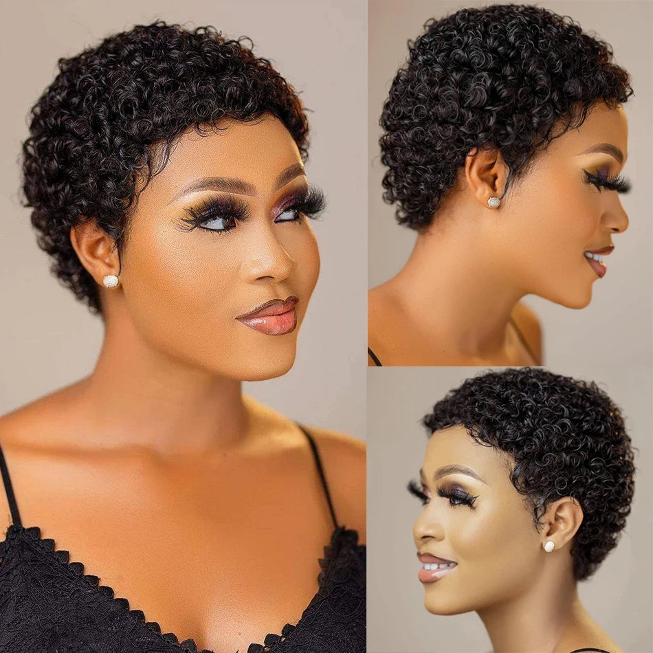 Kinky Curly Wigs Short Wigs Black Women Human Hair