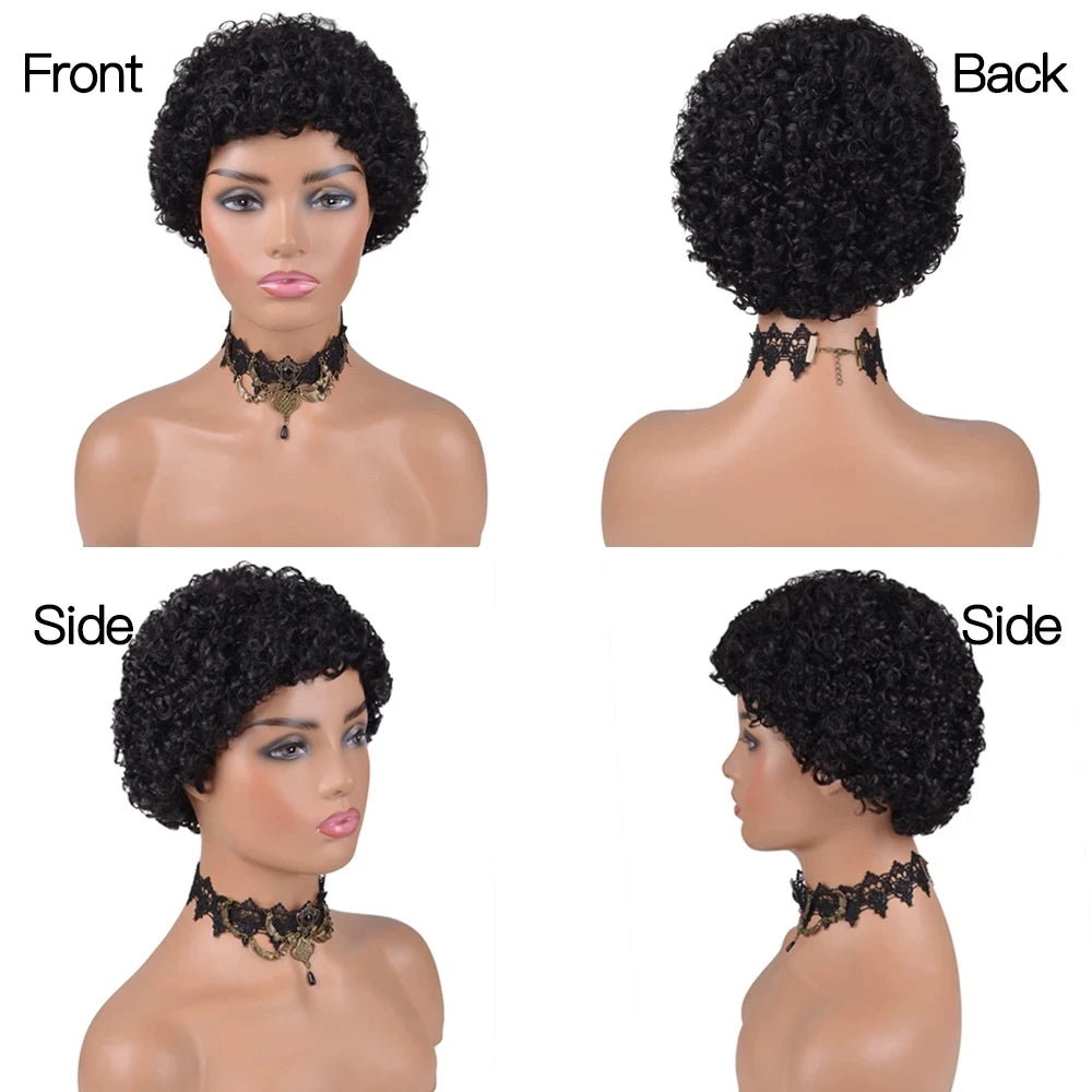 Kinky Curly Wigs Short Wigs Black Women Human Hair