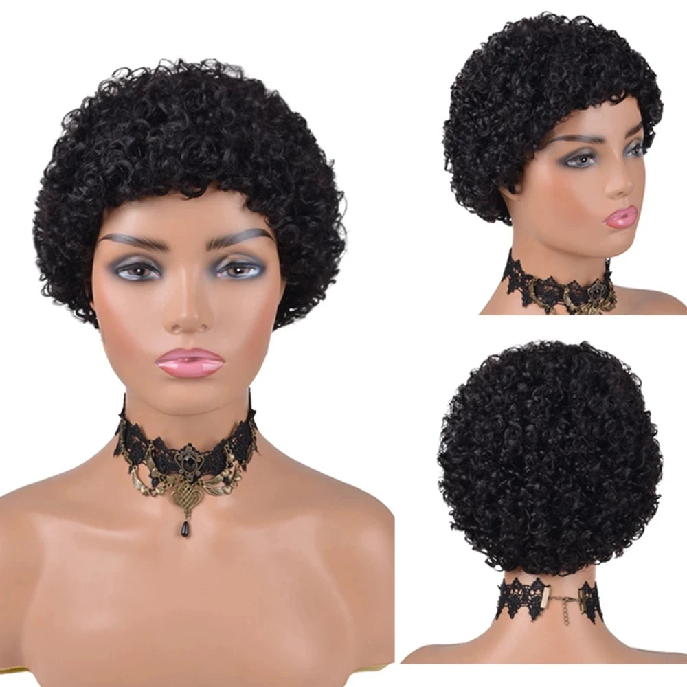 Kinky Curly Wigs Short Wigs Black Women Human Hair