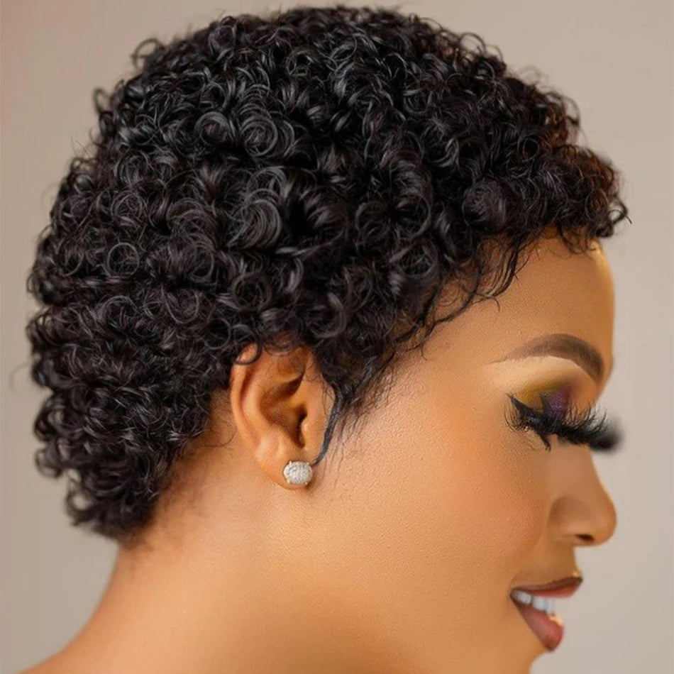 Kinky Curly Wigs Short Wigs Black Women Human Hair