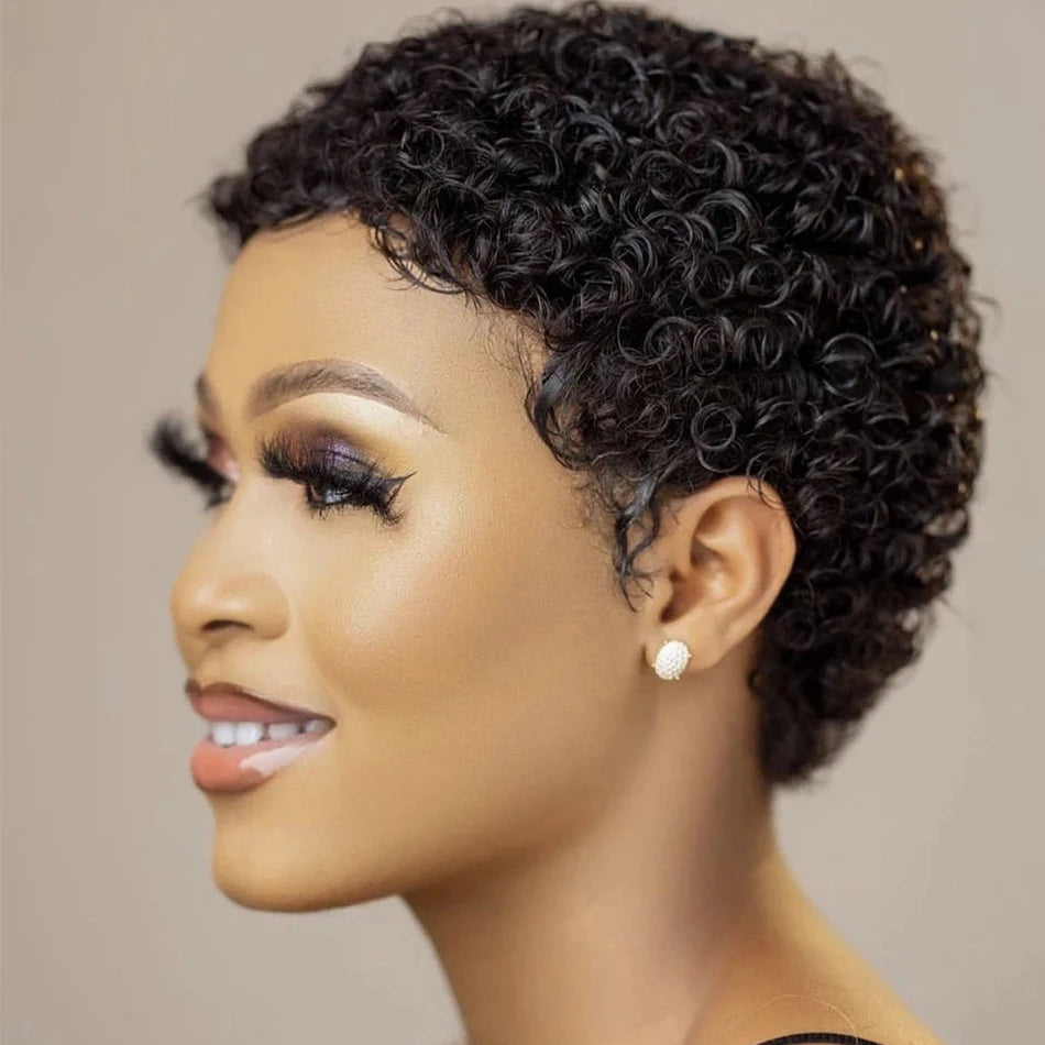 Kinky Curly Wigs Short Wigs Black Women Human Hair