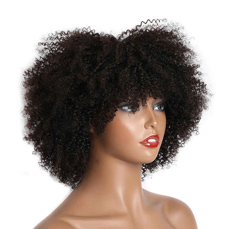 Afro Kinky Curly Wigs Full Brazilian Short Human Wig