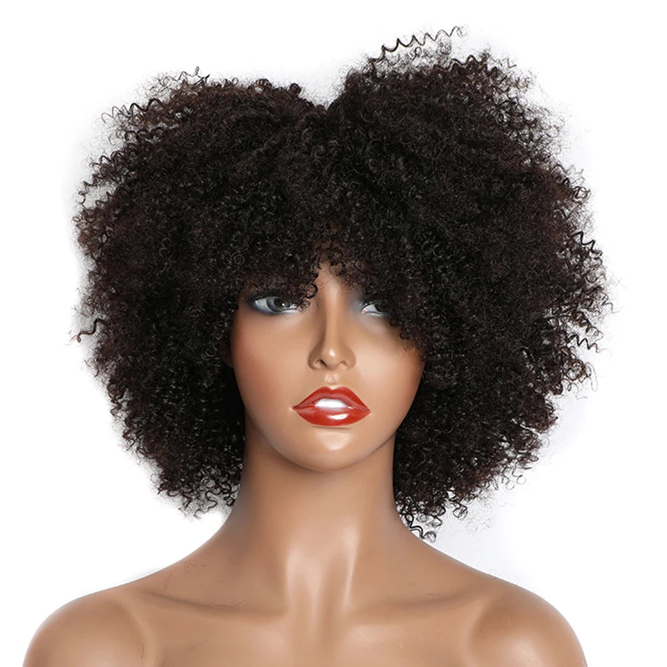 Afro Kinky Curly Wigs Full Brazilian Short Human Wig