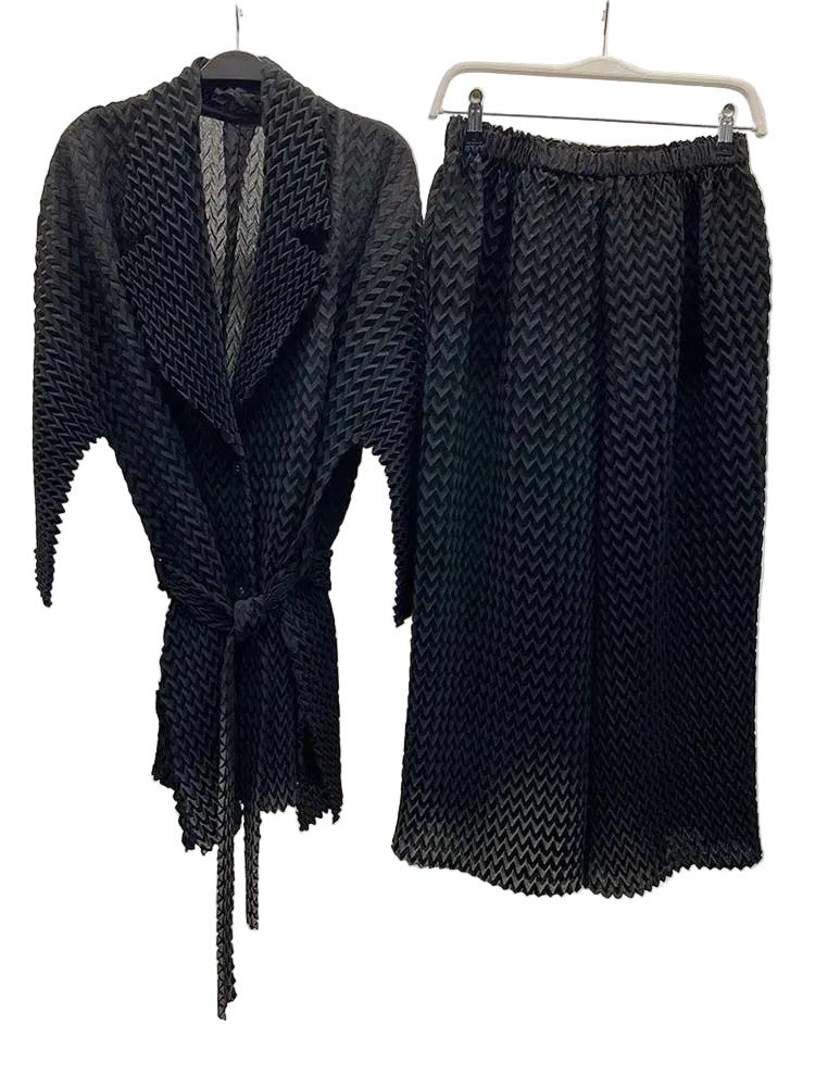 2 Pieces Pants Sets Pleated Belt Jacket With Elastic Waist Wide Leg Pants Female Fashion Clothing-party dresses-Top Super Deals-Black-One Size-Free Item Online