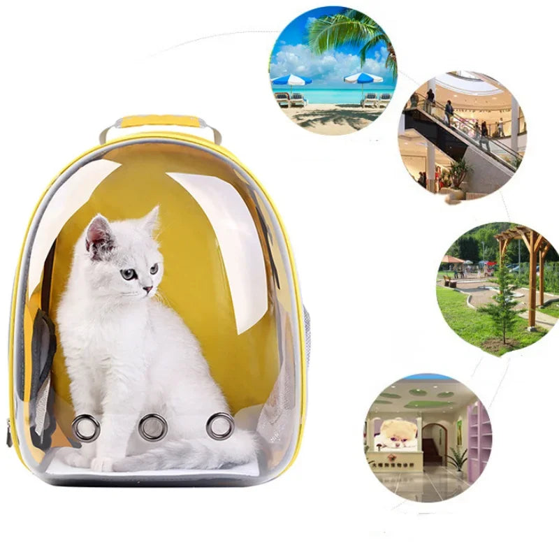 Portable Transparent Capsule Cat Bag