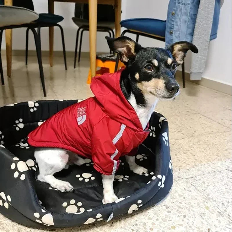 Waterproof Pet Coat for Small Medium Dogs