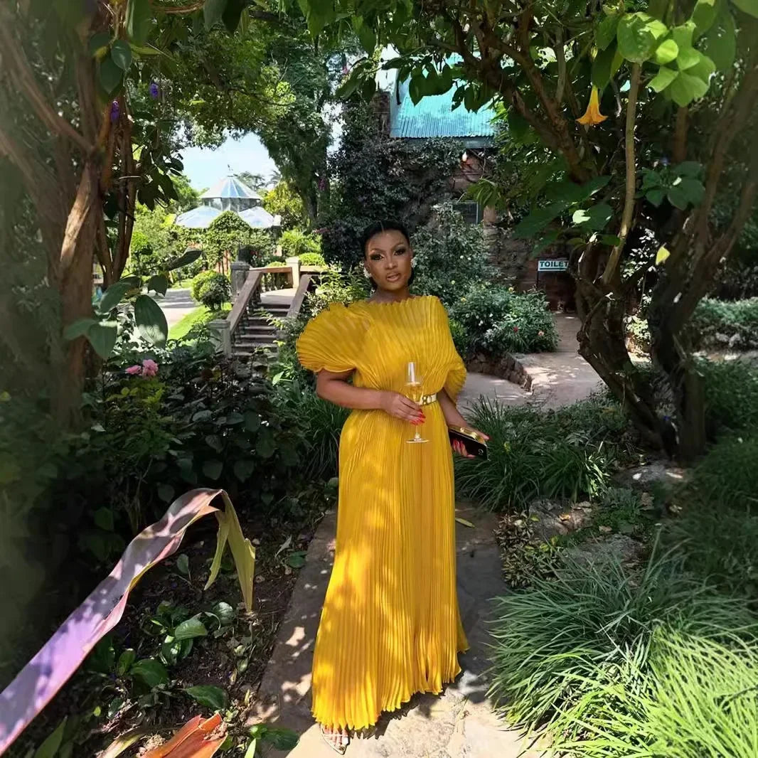 Pleated Chiffon Long Gowns for Women