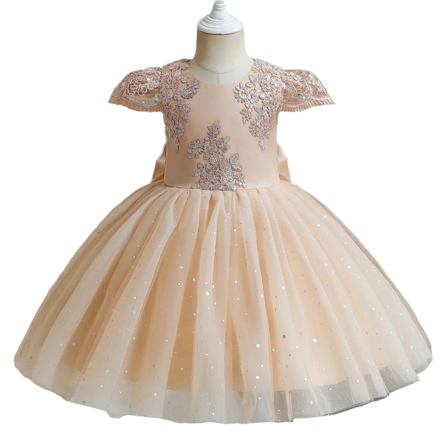 Girls Lace Tulle Dress for birthday & Wedding