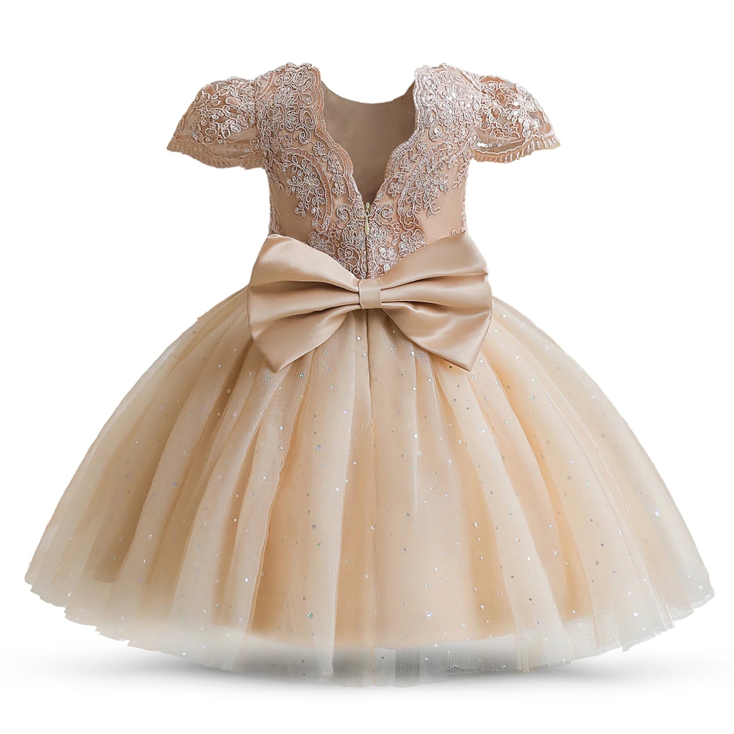 Girls Lace Tulle Dress for birthday & Wedding