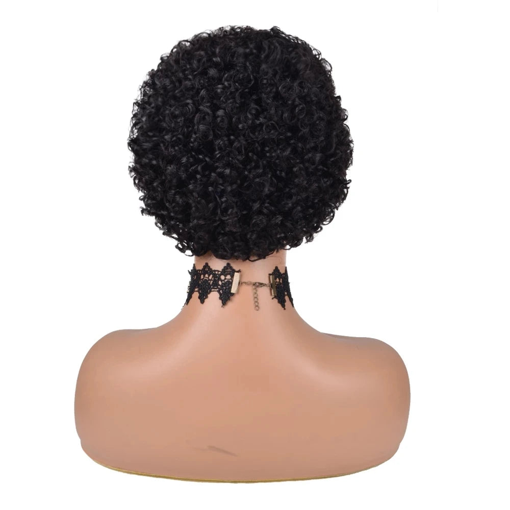 Kinky Curly Short Wigs for Black Women