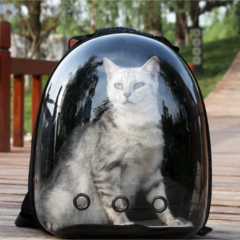 Portable Transparent Capsule Cat Bag