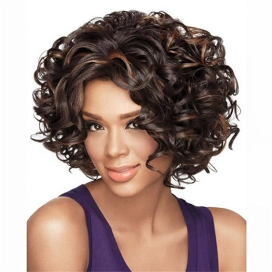 Short Curly Human Hair Wet & Wavy Lace Frontal Wig