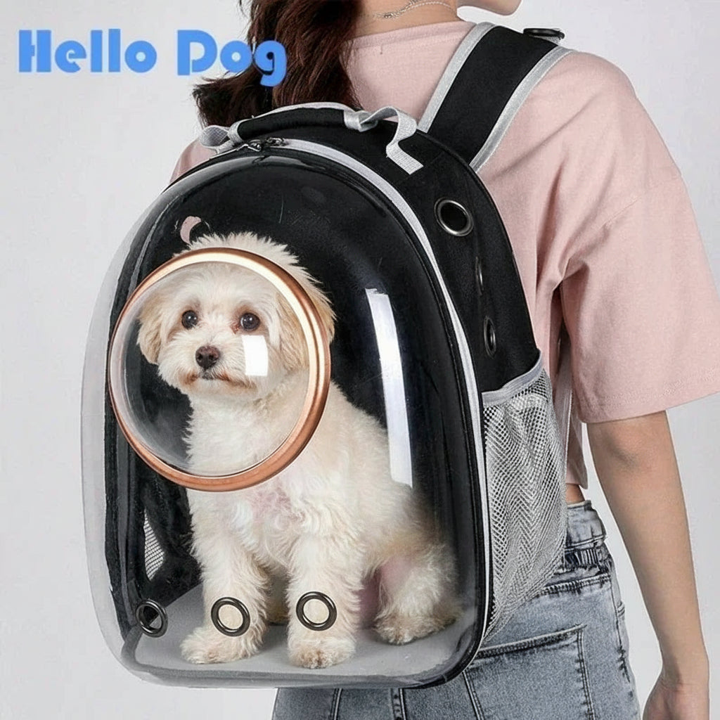Transparent Capsule Pet Backpack for Cat & Pup