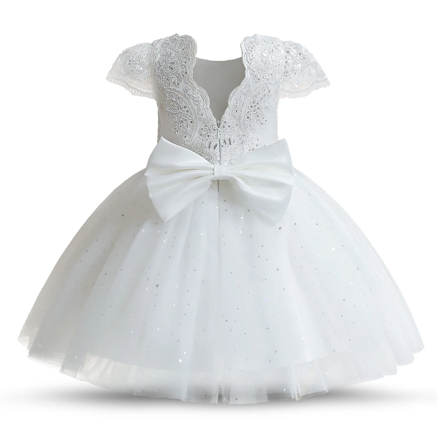 Girls Lace Tulle Dress for birthday & Wedding